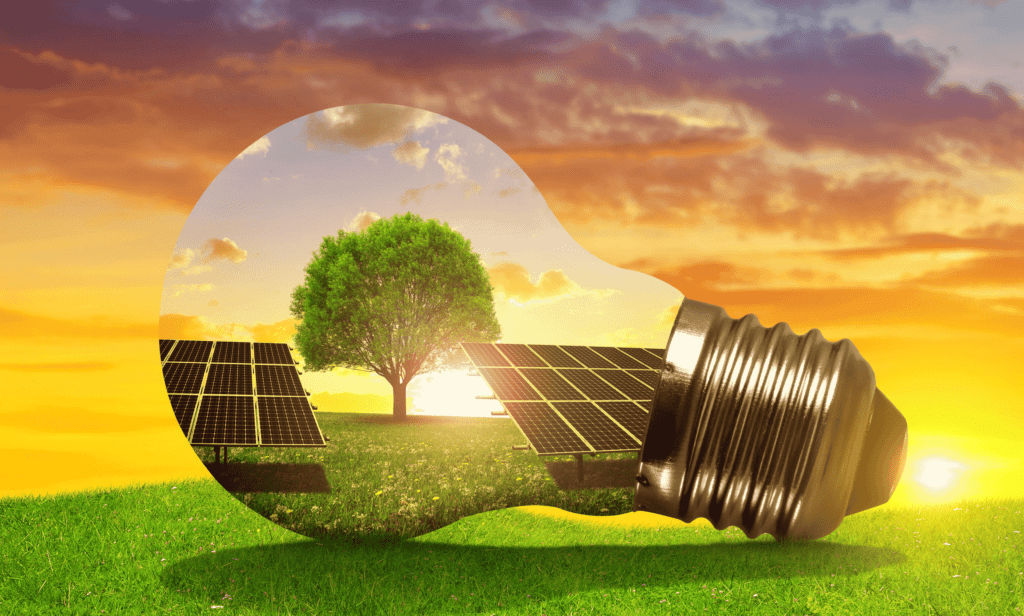Solar Panel Recycling